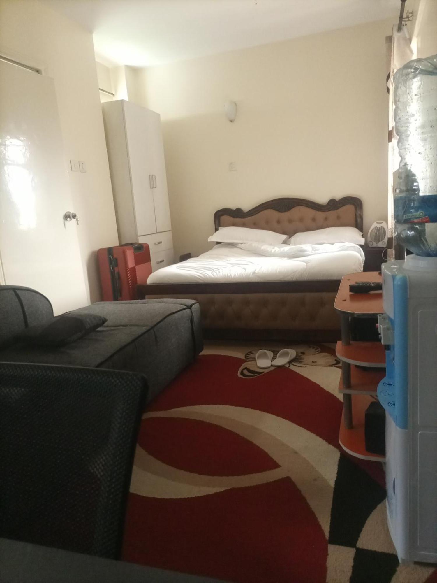 Luxurious Apartment